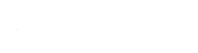 Oasis DevelopWise - Logo